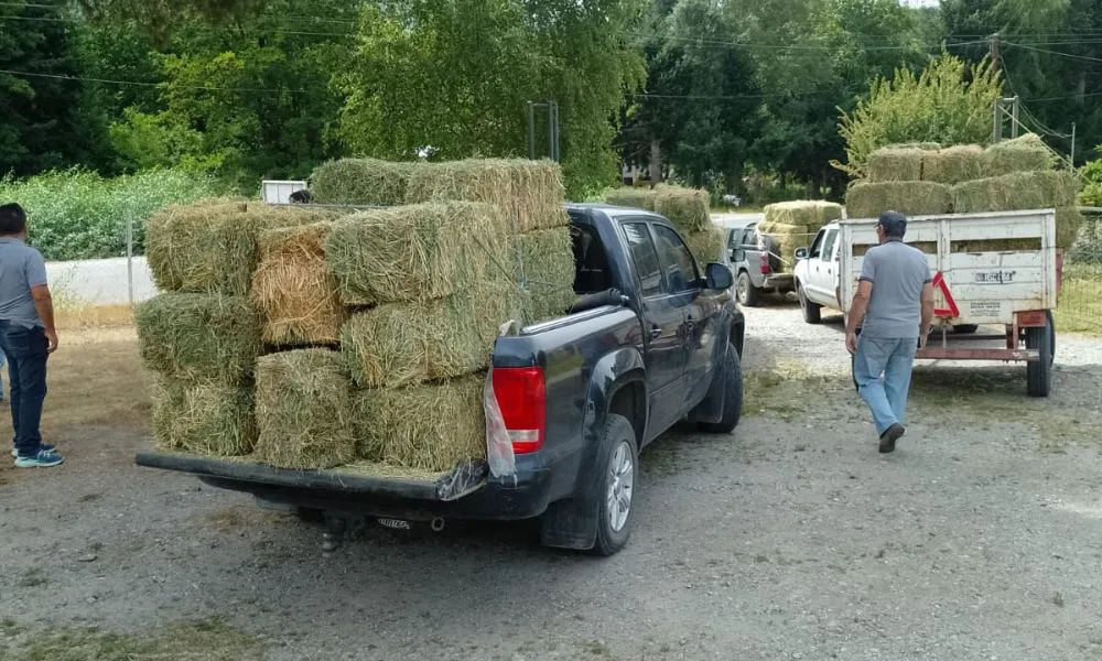 Asisten a productores afectados por los incendios