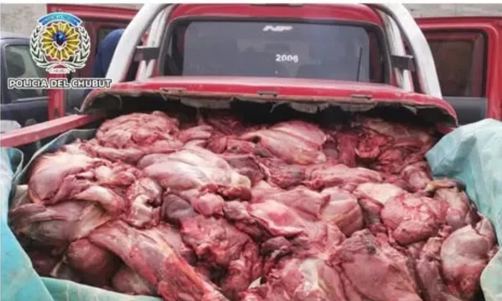 Secuestro de carne de guanaco