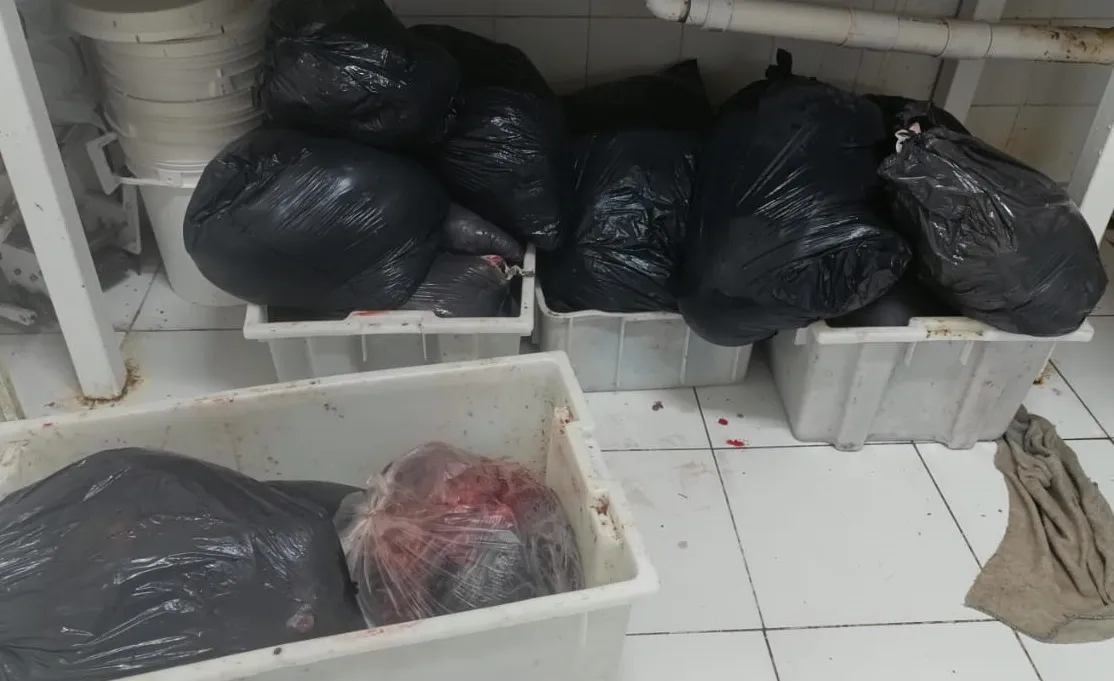Carne de guanaco decomidada Tw 1