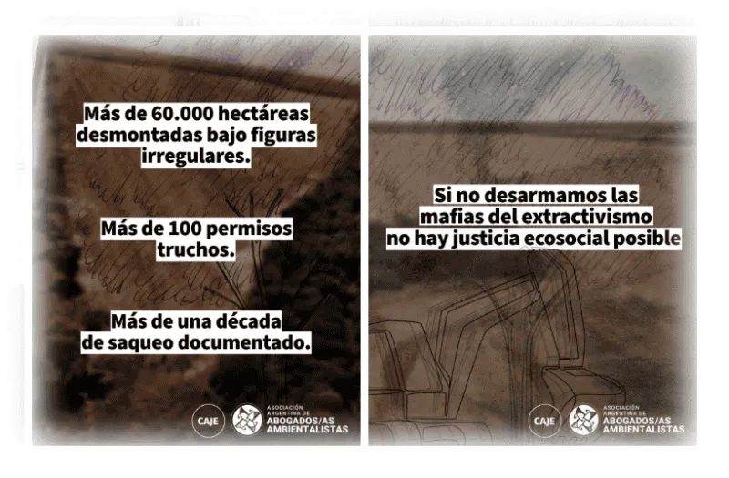 Abogados Ambientalistas