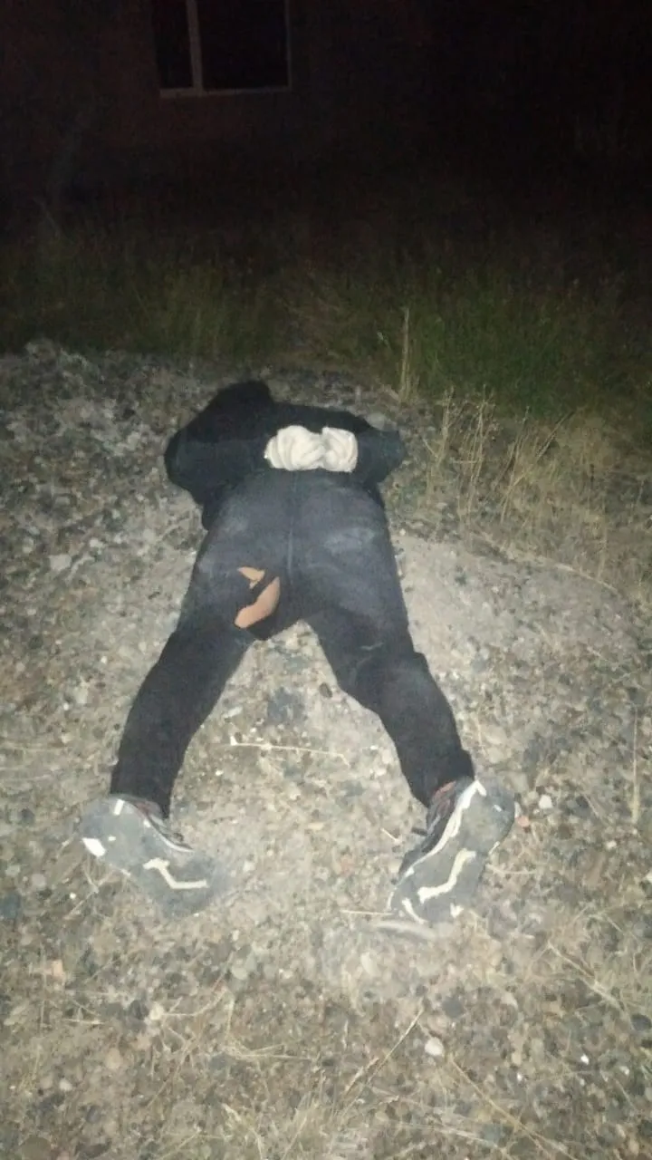 Ladrón saltarín 1