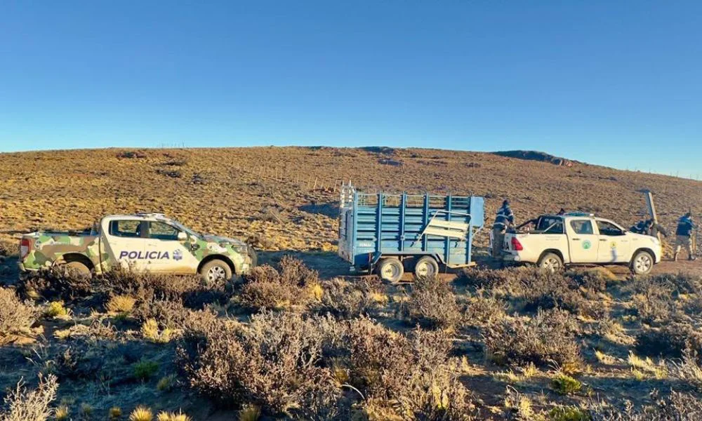 Quedaron imputados varios dueños de campos