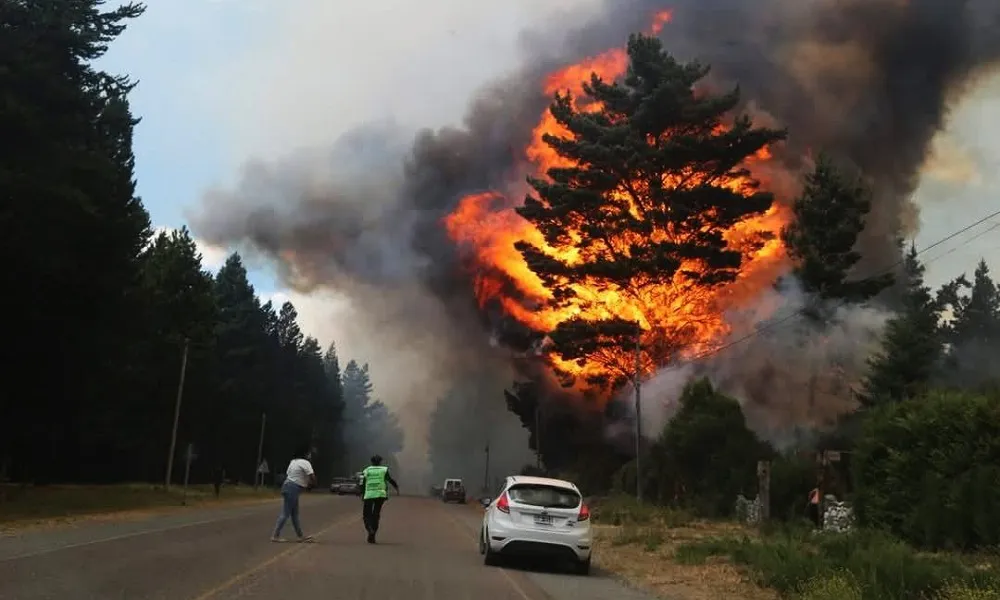 Incendio Epuyen2