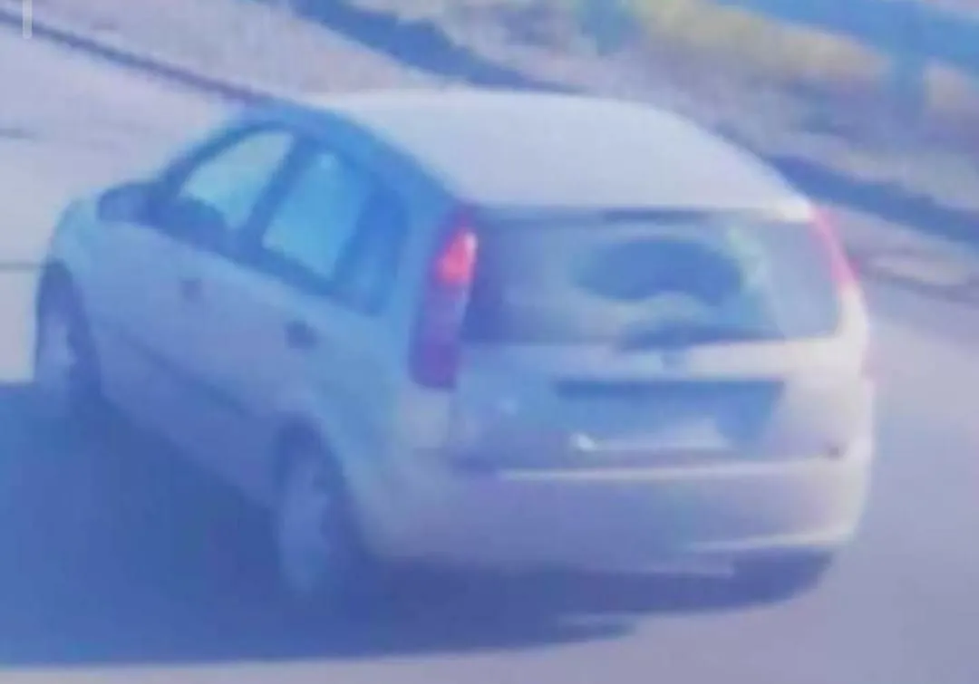 auto docente