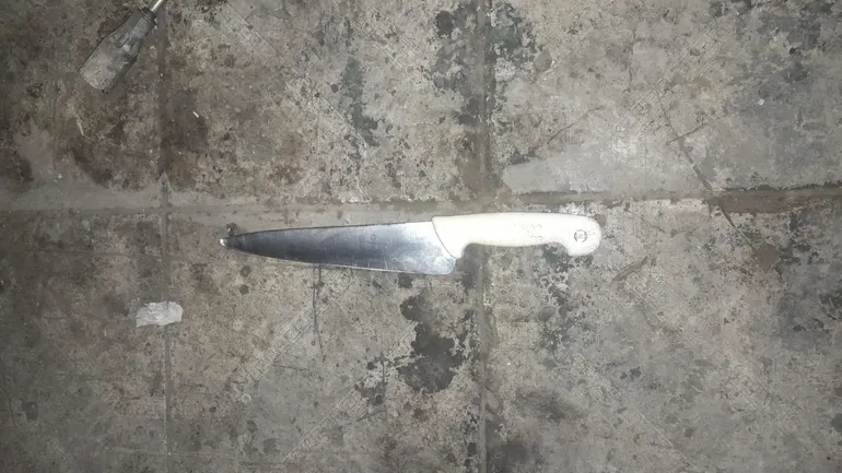 cuchillo con el que intentaron agredir a la familia