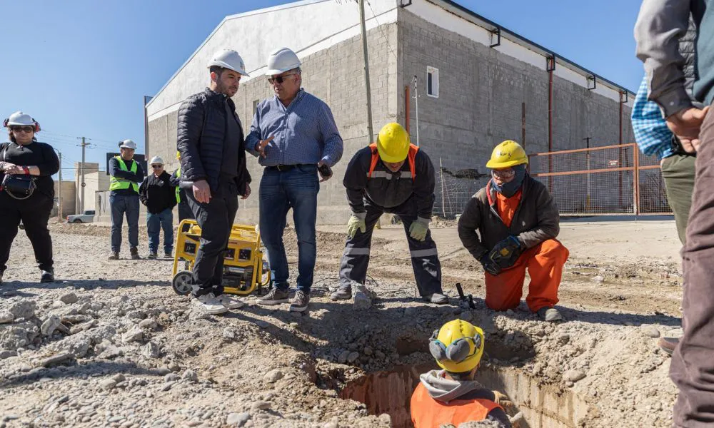 obra colector comodoro