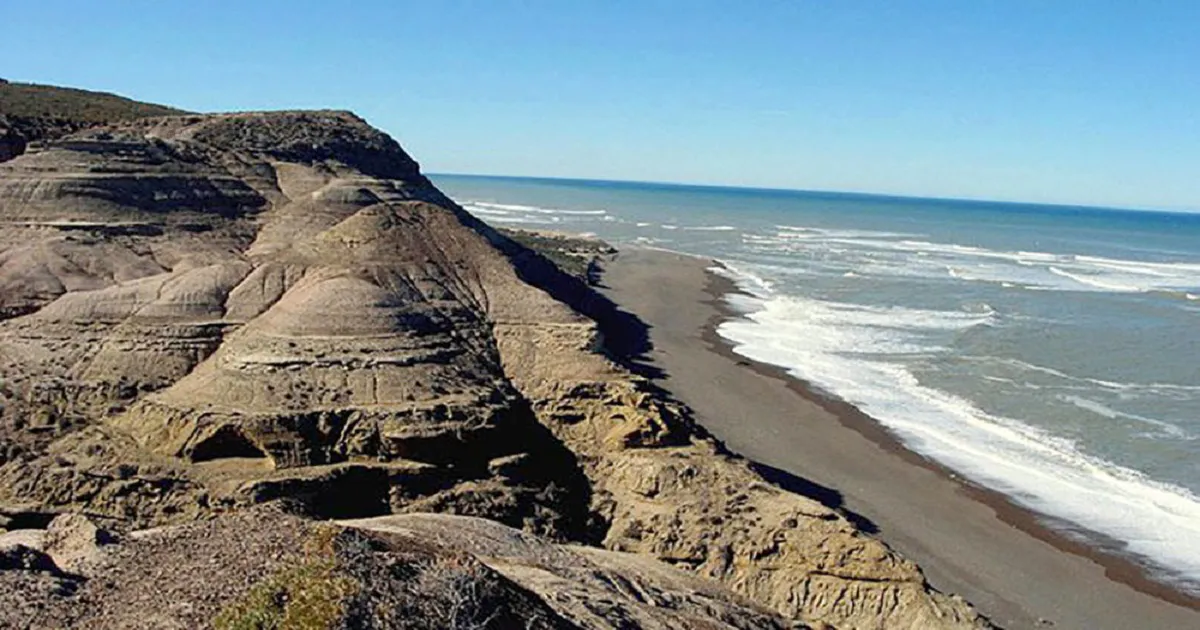 punta ninfas