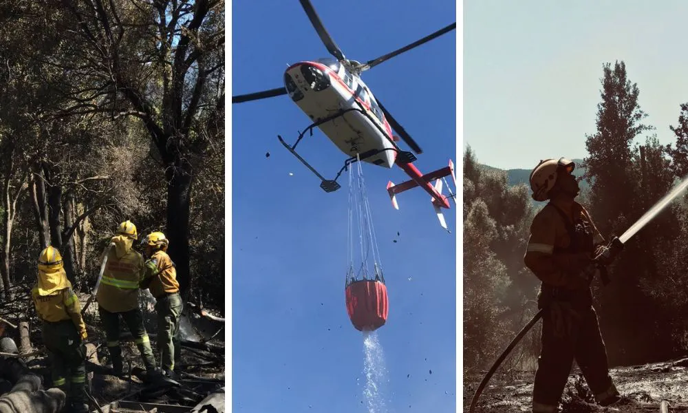 Incendio en el Parque nacional Lanín
