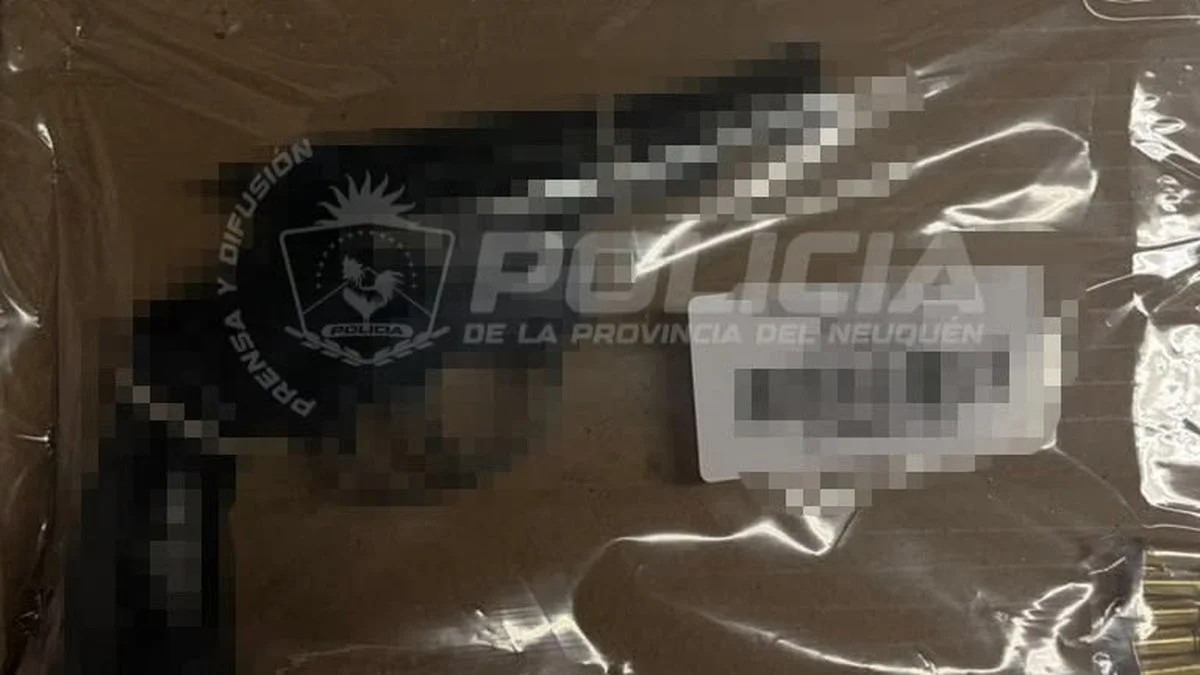 Secuestran una pistola 9 mm y un revólver calibre .22
