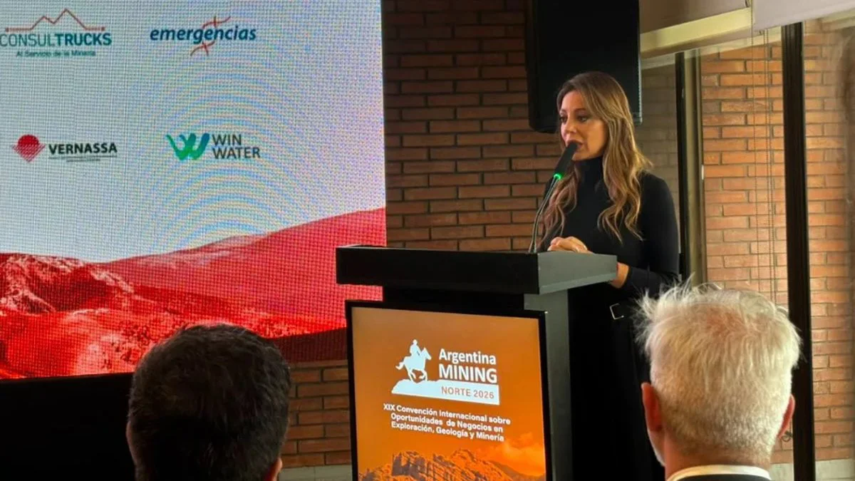 Argentina Mining