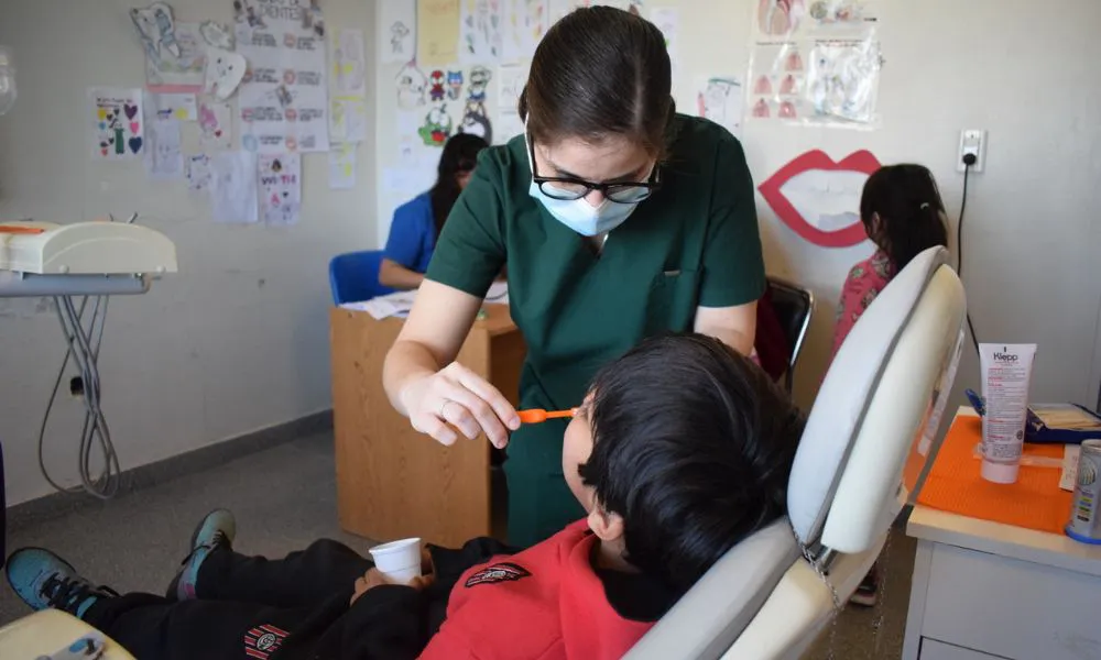 odontología y vacunación en comodoro