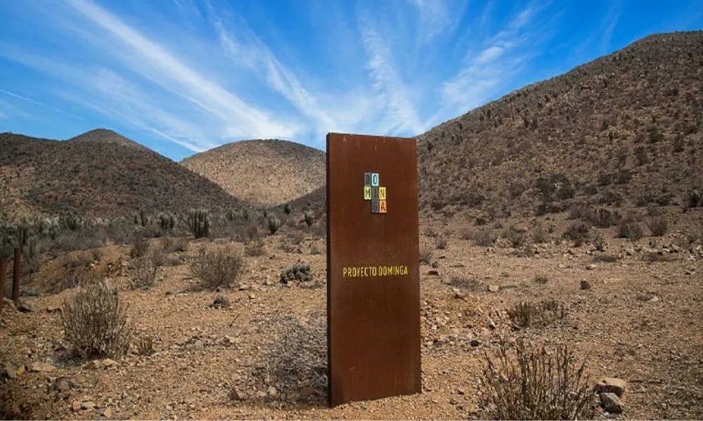 Dominga totem imagen web dominga