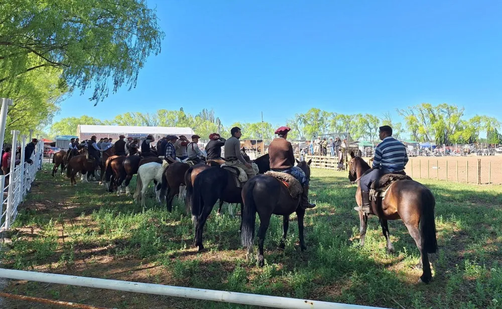 fiesta del novillito 06_11zon