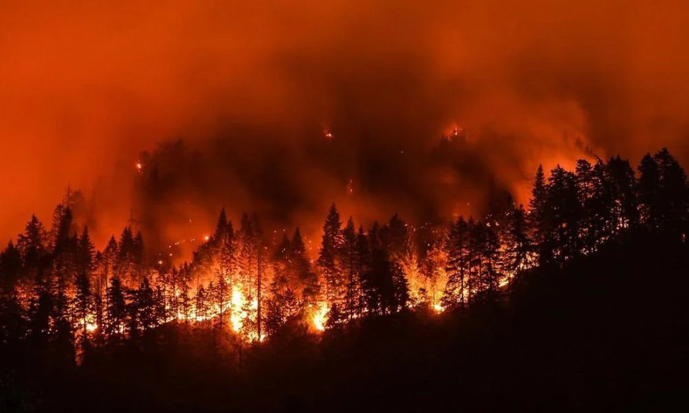 Incendio forestal en California. Foto Cadena 3