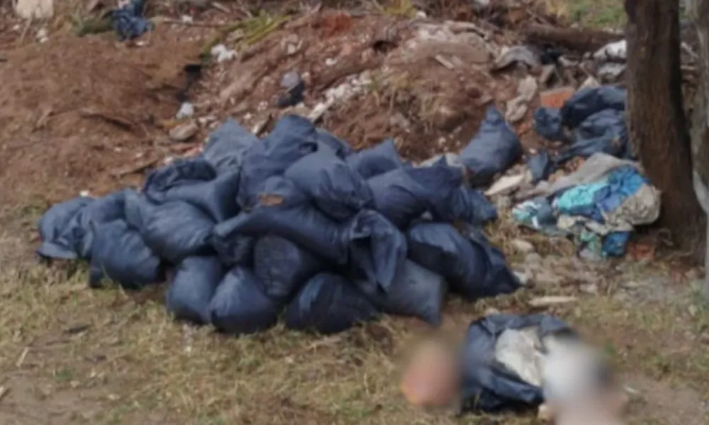 Restos humanos en bolsas de basura