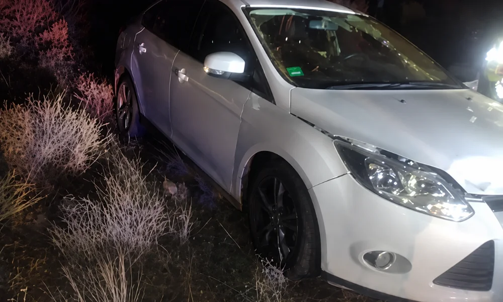 Ford Focus despistado