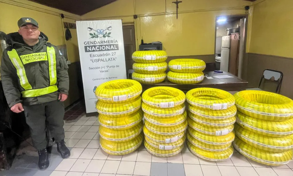 Gendarmería decomisó mercadería de contrabando