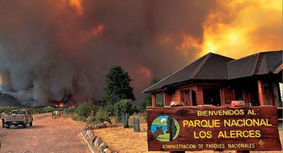 incendio alerces
