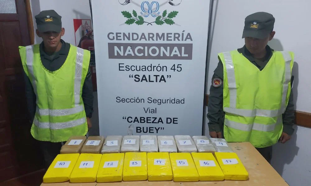 Secuestran 18 kilos de cocaína que viajaban rumbo a Esquel