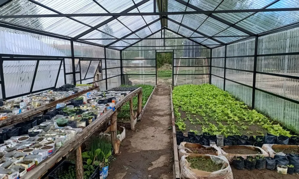 Paso del Sapo inauguró dos invernaderos en la Escuela 134