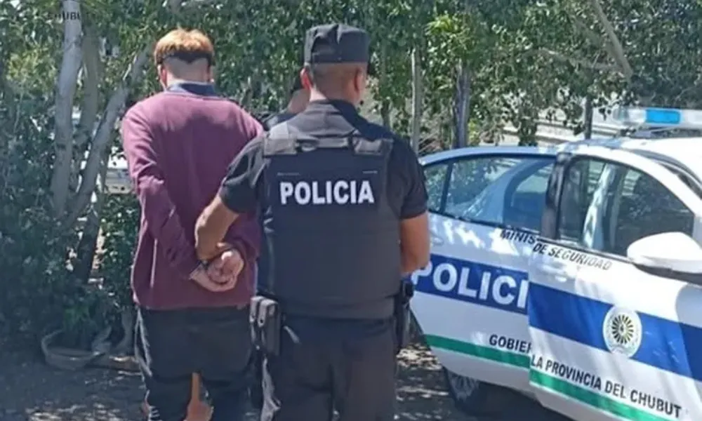 Detenido