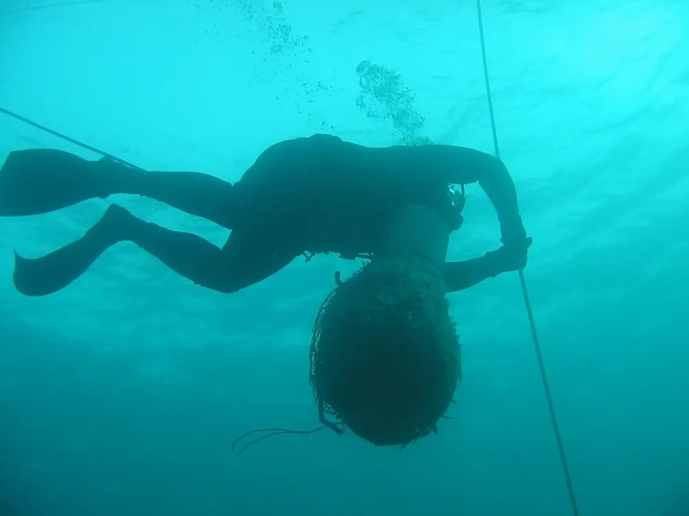 dia oceanos