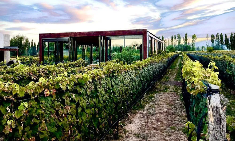 Siete bodegas argentinas entre las mejores del mundo. Foto: Durigutti Family Winemakers
