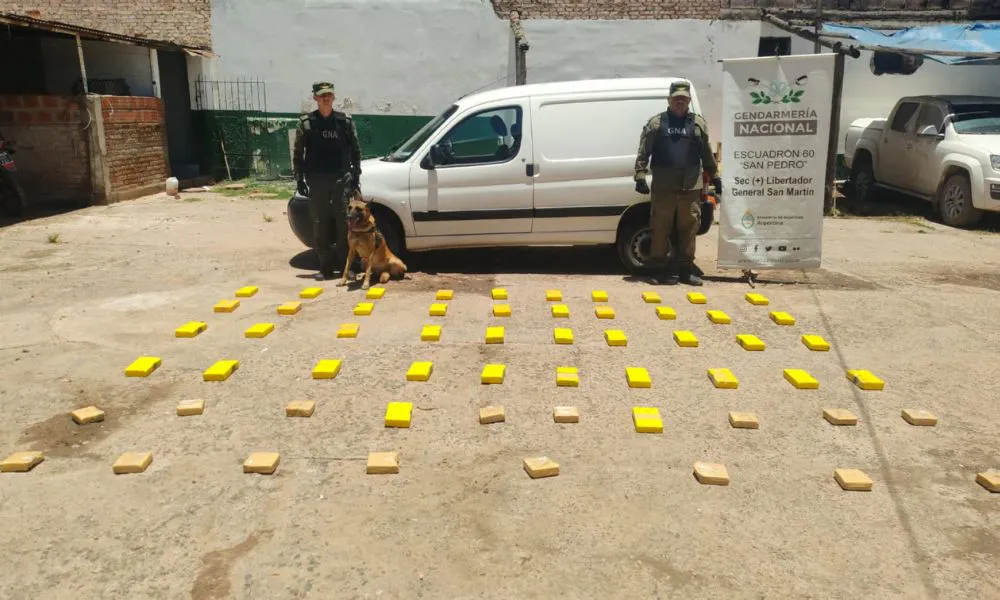 Hallan más de 50 kilos de cocaína ocultos en un doble fondo