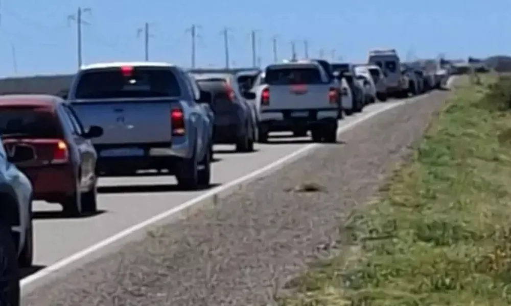 largas filas en el ingreso a Península Valdés