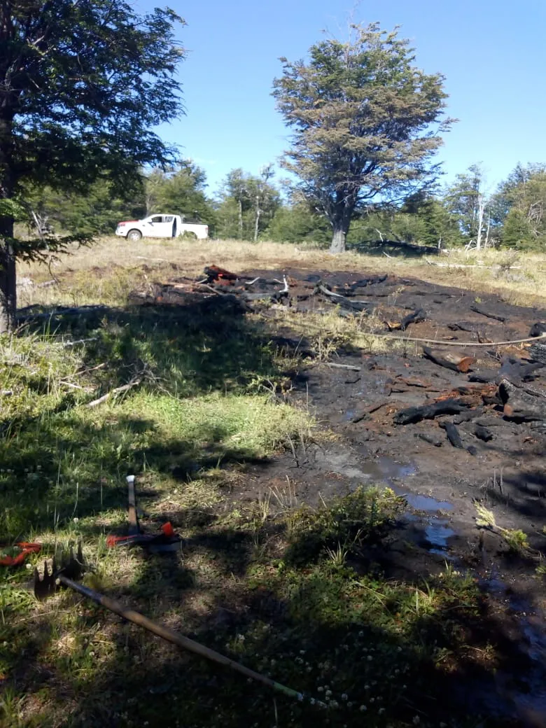 Incendio en Rio Pico