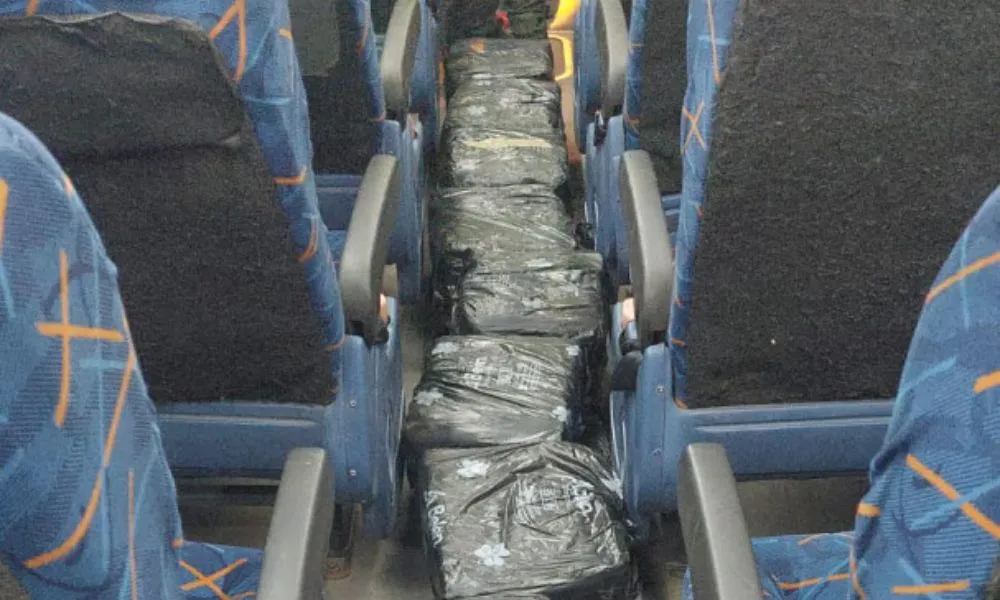 Descubrieron 200 kilos de hojas de coca ocultos en el piso de un micro