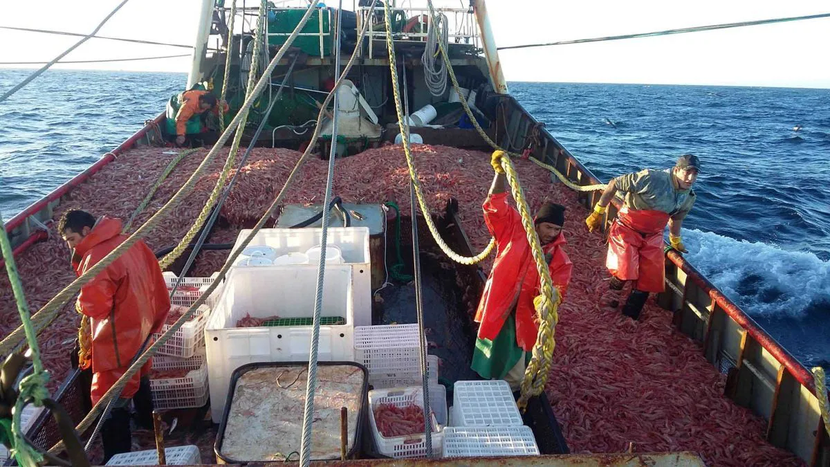 Pesca Chubut