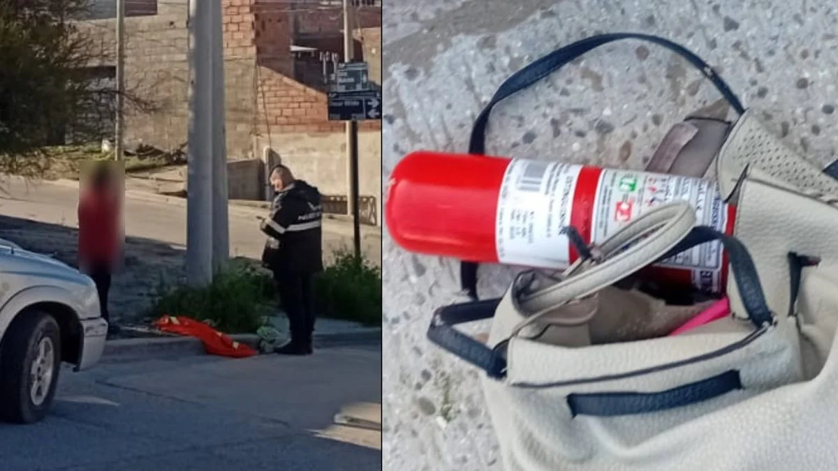 Detenida en Comodoro por intento de robo