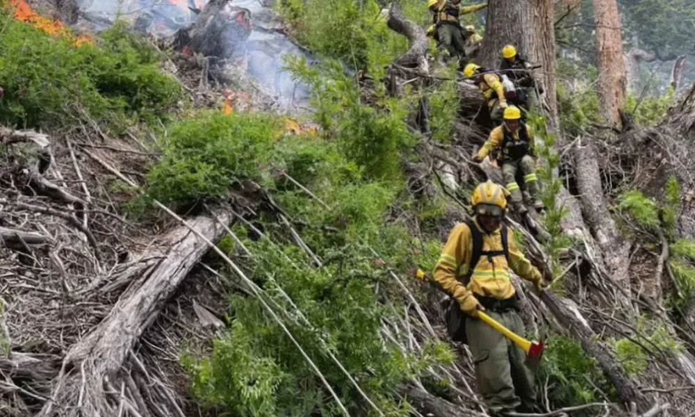 Fuego en Los Alerces