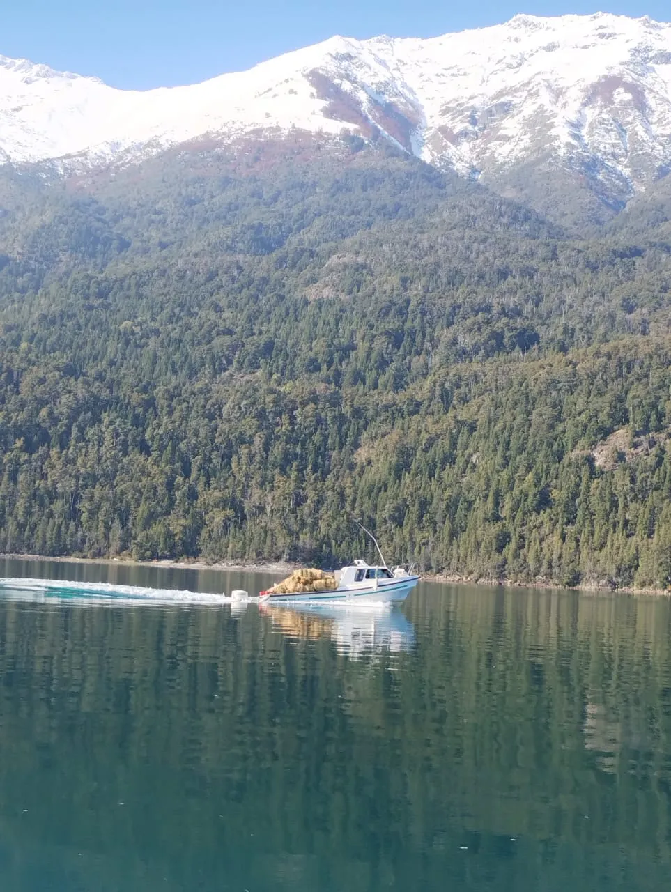 WhatsApp Image 2024-05-19 at 17.40.47