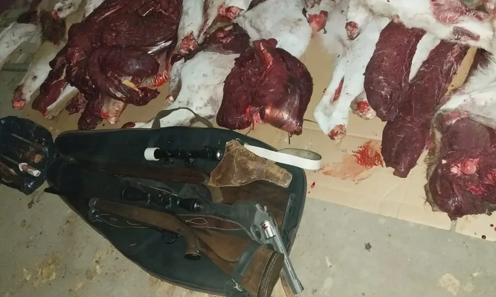 Carne de guanaco y armas secuestradas