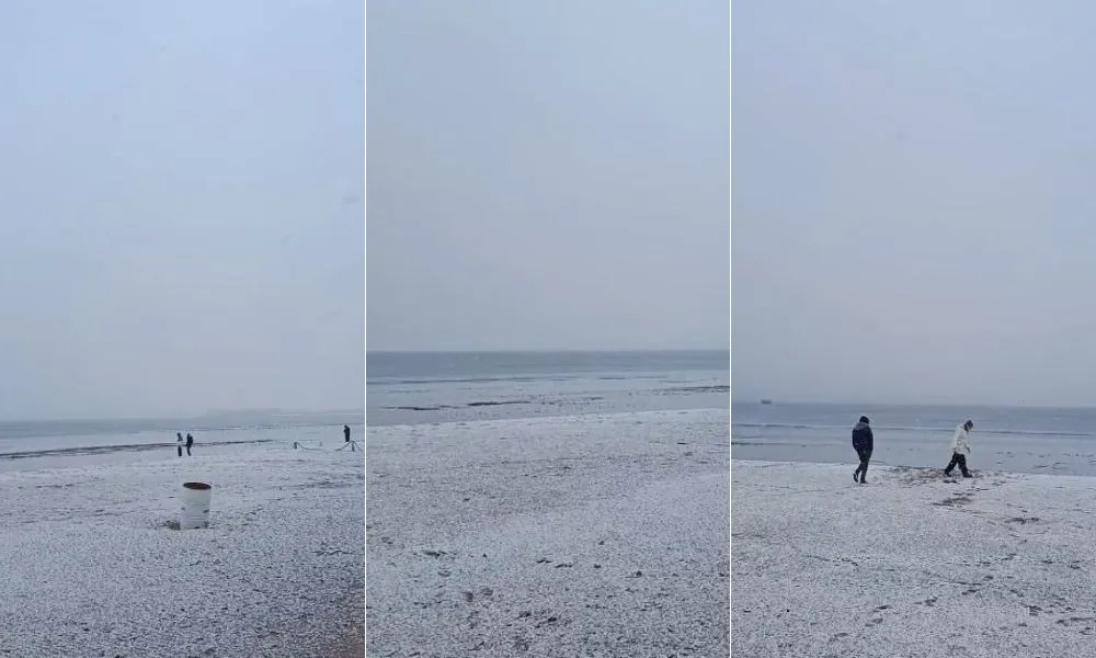 Nieve en la costa de Madryn
