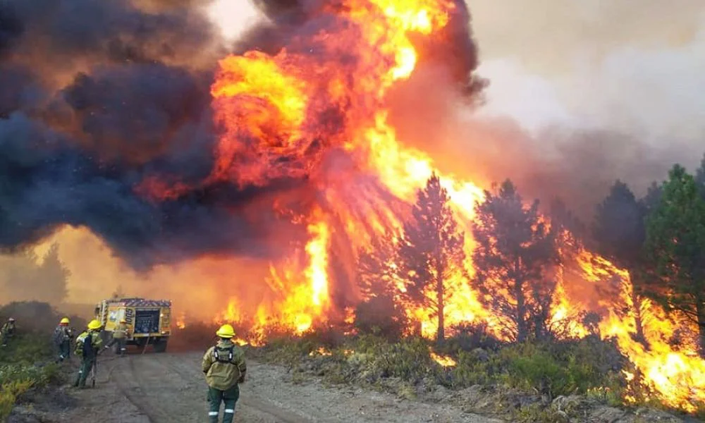 Incendios en Chubut