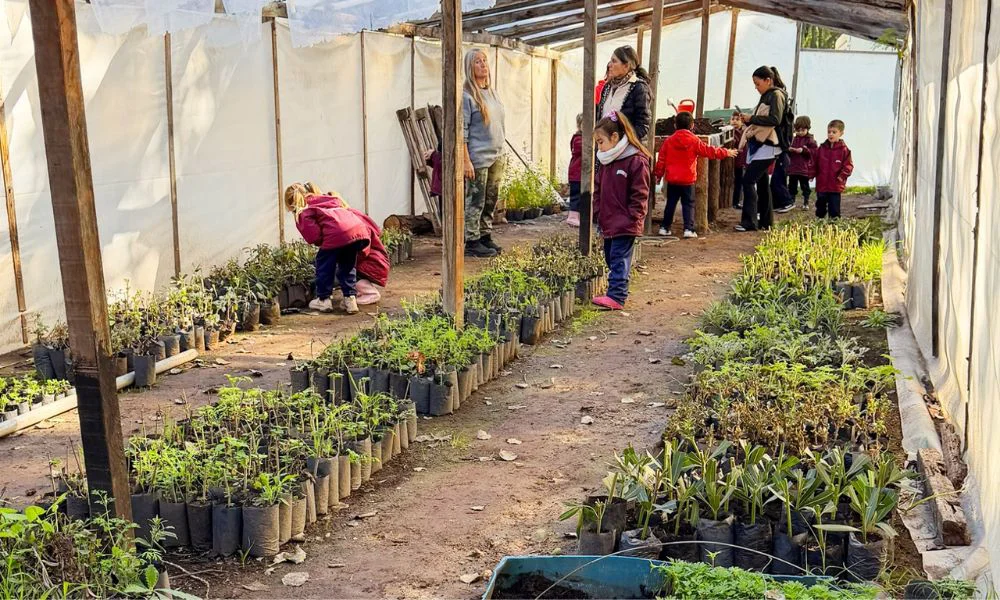 Vivero Municipal