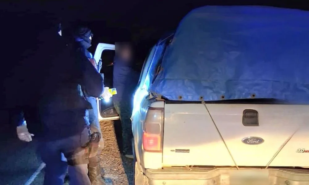 Secuestraron carne de guanaco y fusiles en Gaiman