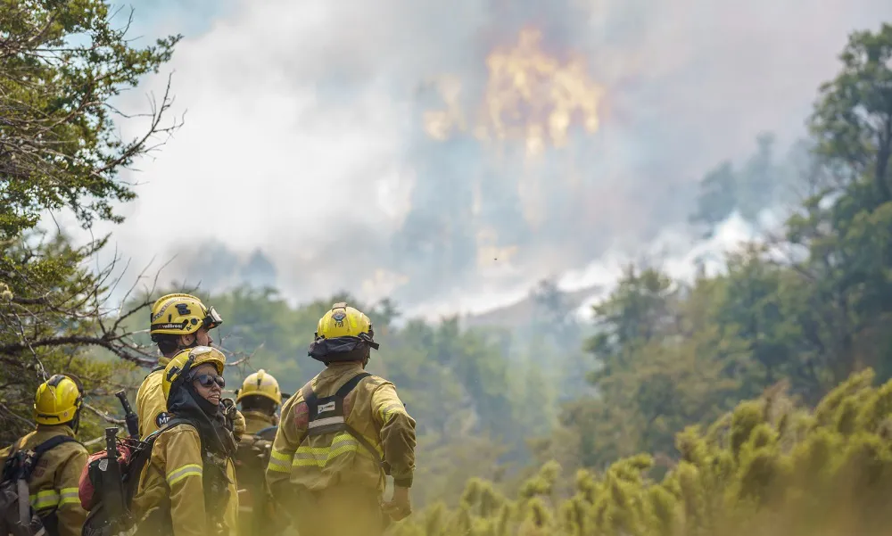 Incendio Valle magdalena