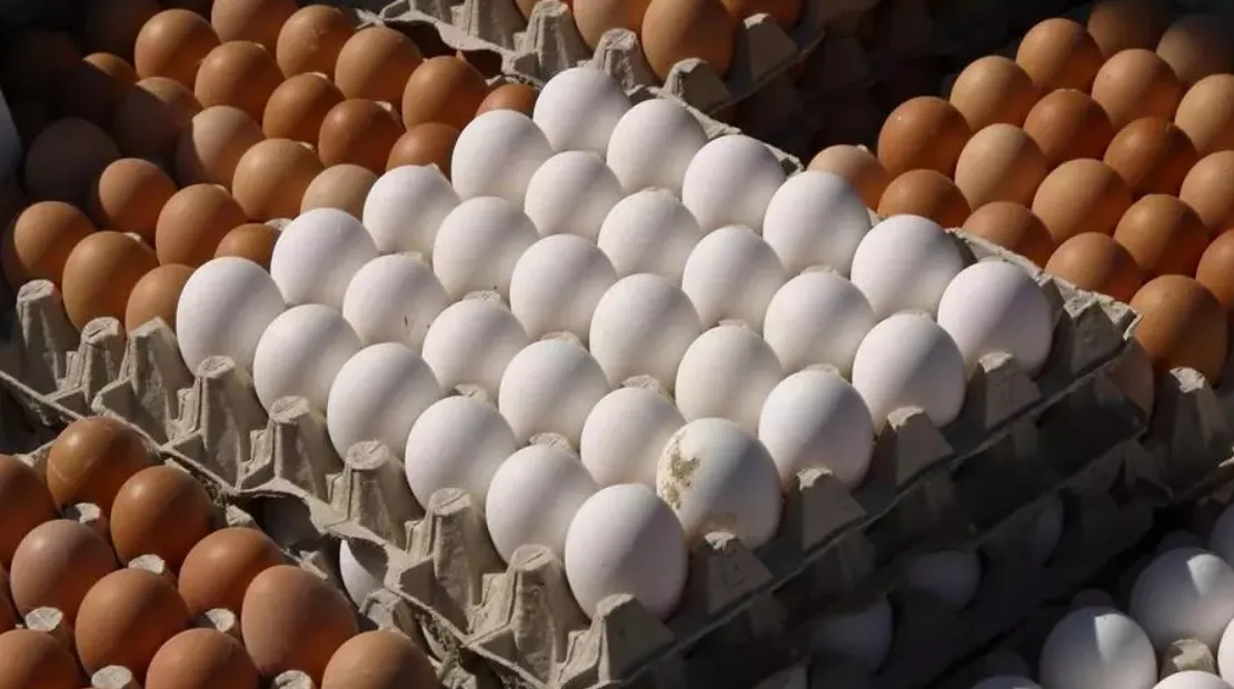 huevos