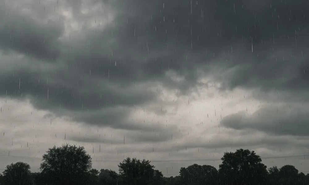 Nublado con lluvia imagen generada por LA17