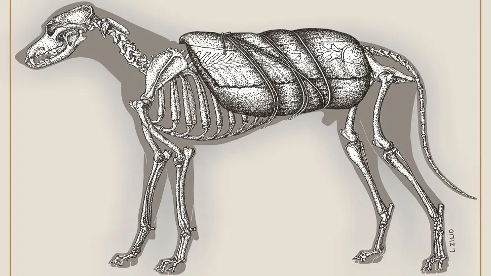 Imagen recreada del animal hallado Imagen recreada del animal hallado