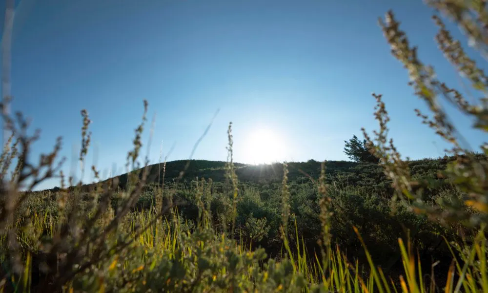 Calor foto ilustrativa fuente Freepik