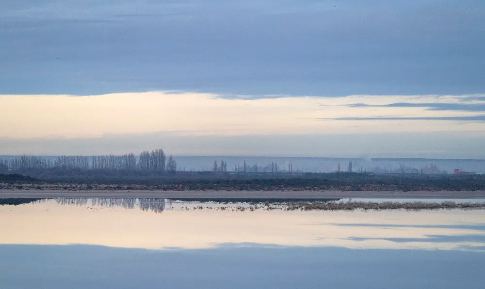 HUMEDALES Foto: Darío Podestá