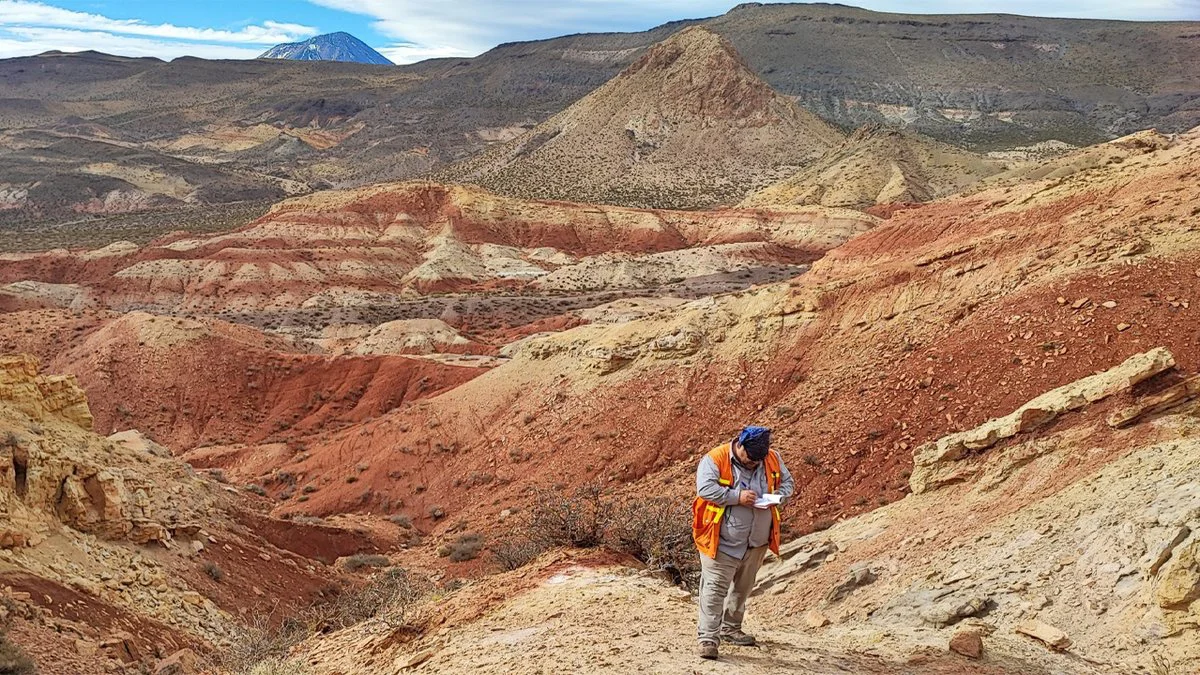 Cobre en Mendoza