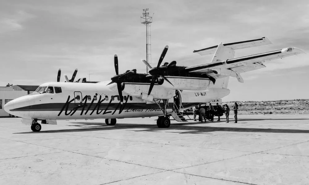 El Tehuelche kaiken imagen restaurada por LA17