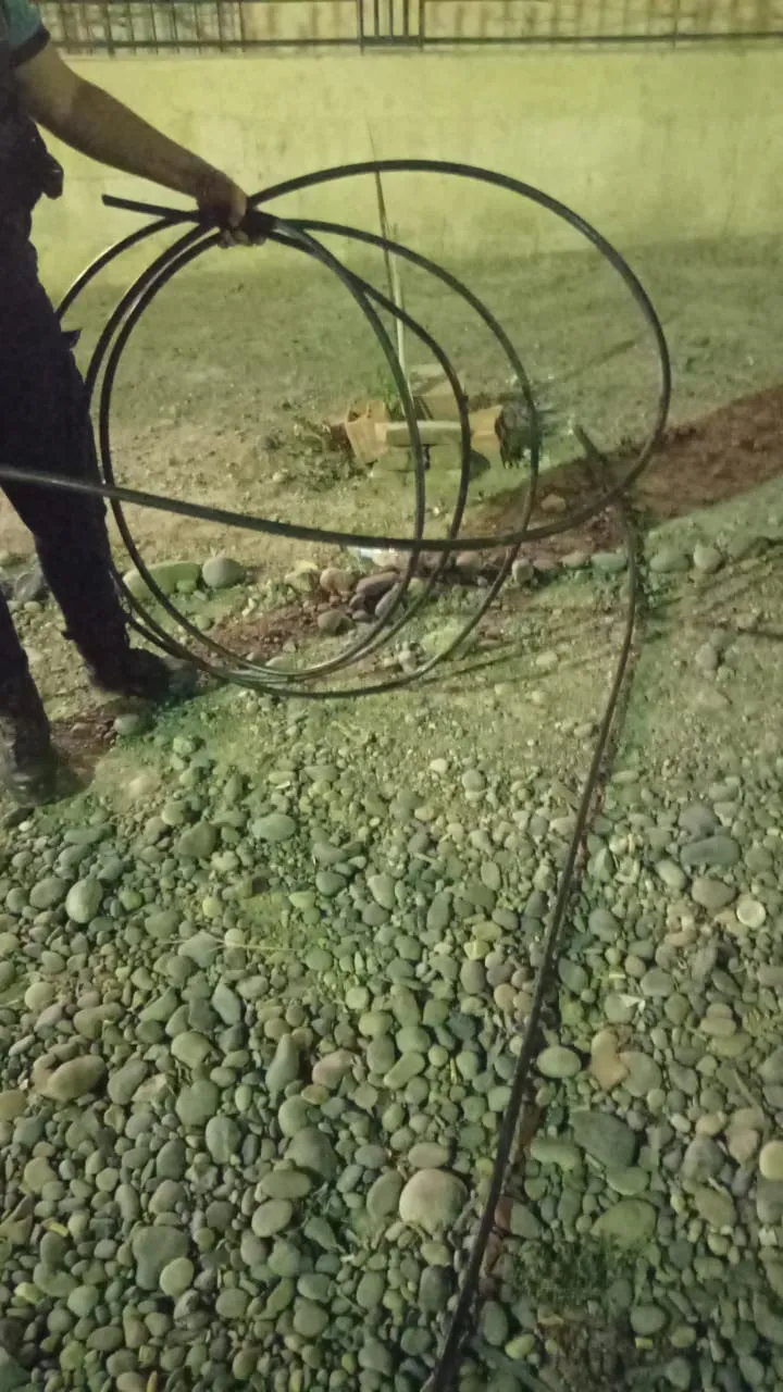 Imagen de WhatsApp 2024-02-09 a las 07.49.50_12a2b252