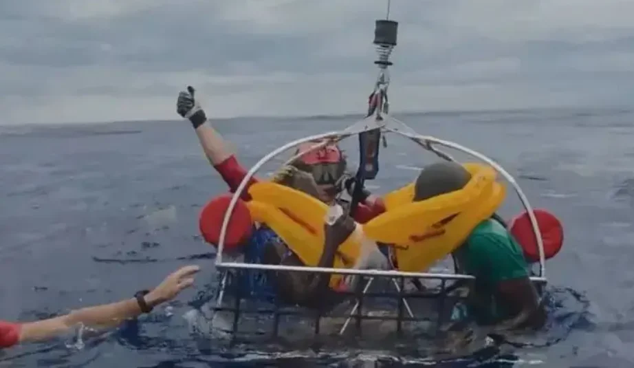 balsa salvados